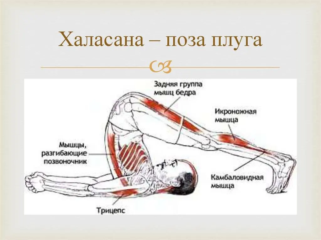 Лучшие упражнения для мужского здоровья дома