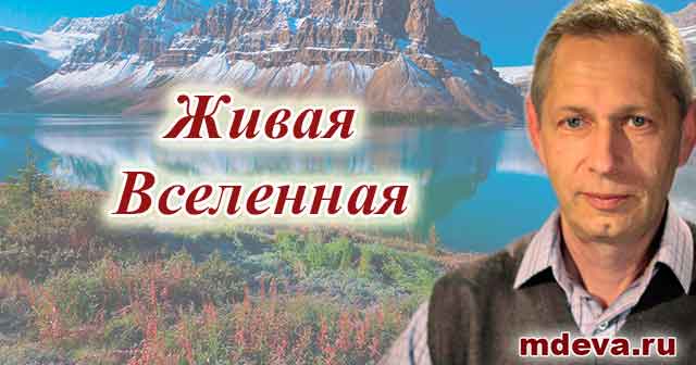 Василий Тушкин «Живая Вселенная» интервью для канала «Баланс-ТВ» Василий Тушкин «Живая Вселенная» интервью для канала «Баланс-ТВ»