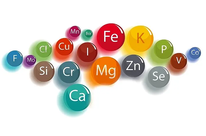 Важные макро- и микроэлементы: их роль в организме и потребности