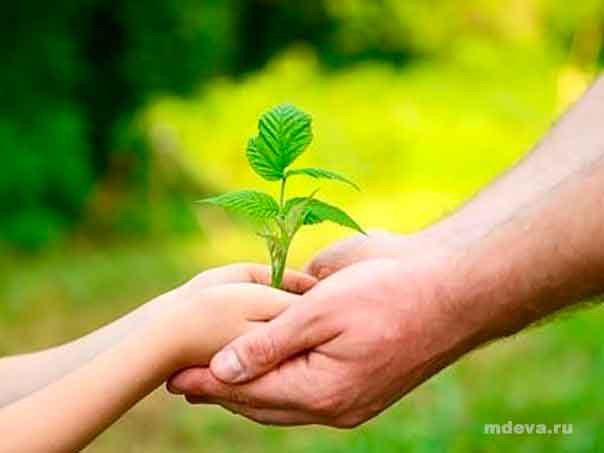 Призыв творить добро получает научное обоснование Призыв творить добро получает научное обоснование