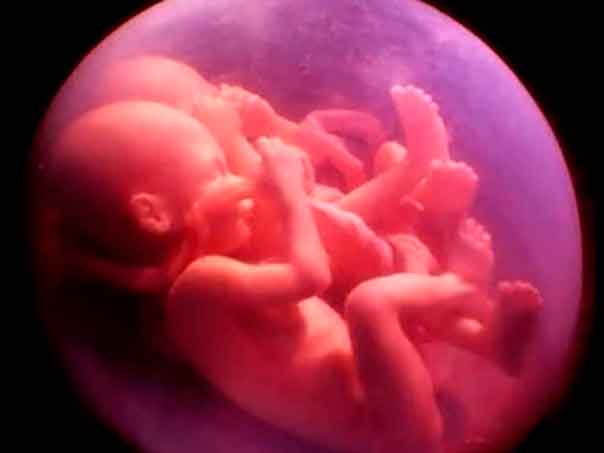 Притча о двух младенцах