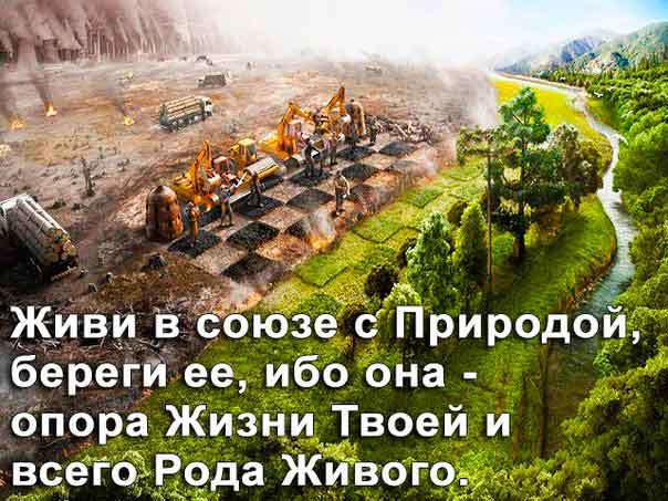 Цивилизация и Природа эволюция экологического сознания