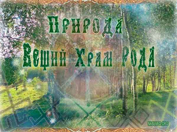 Нехватка природы