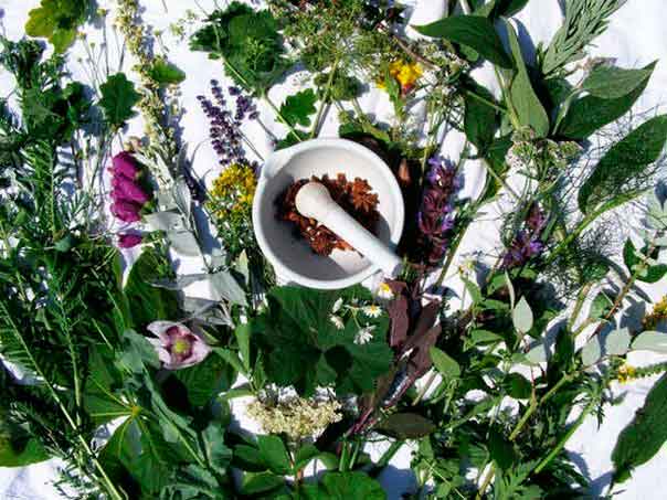 Как в домашних условиях вывести паразитов из организма